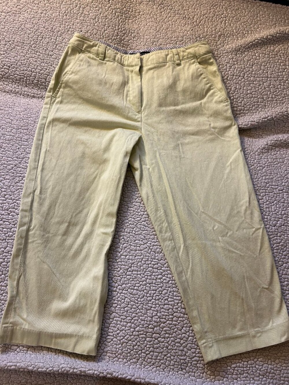 Briggs New York -- light green capris